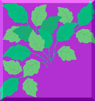 �l�C�� YouTube